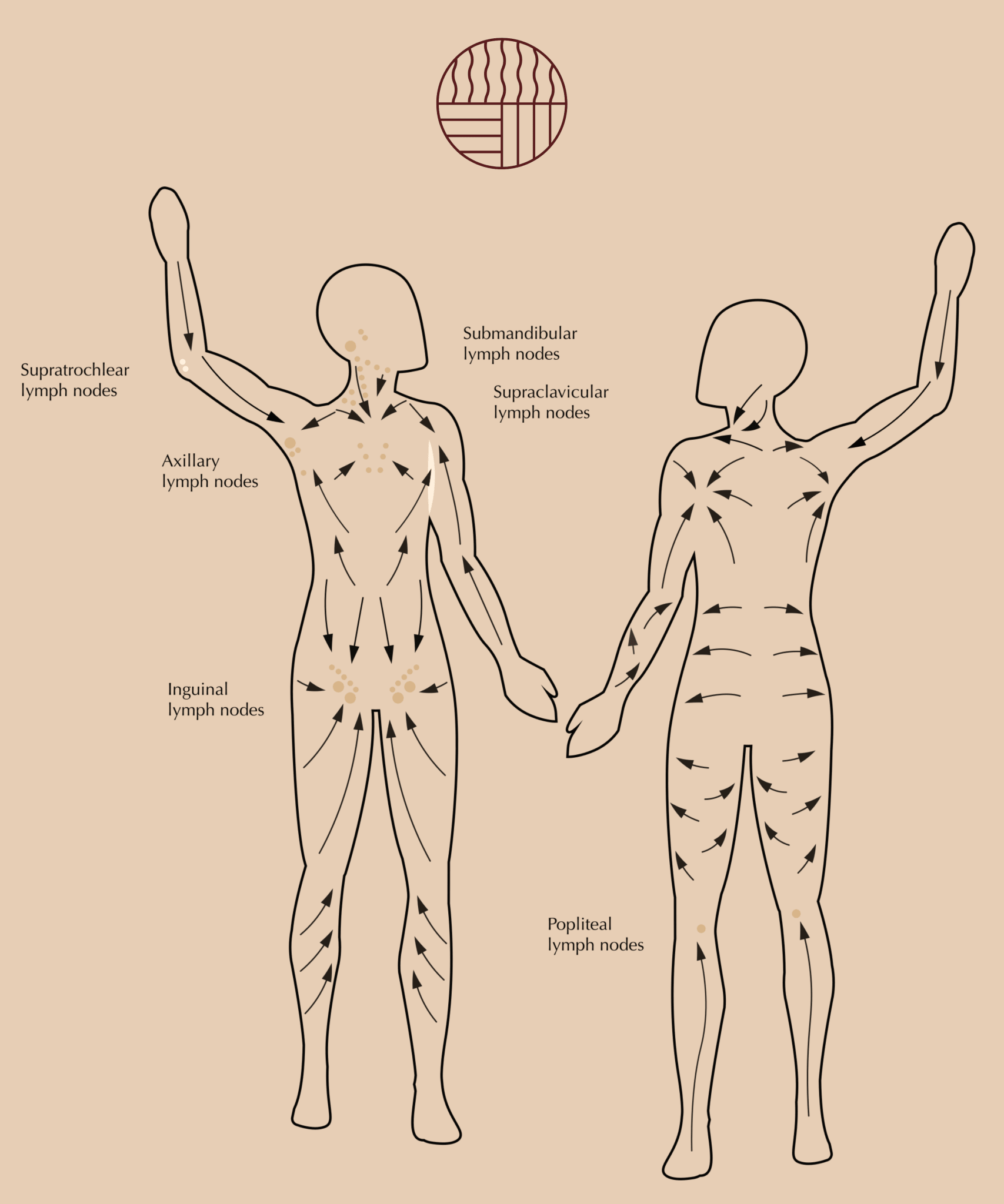 The Flow | Body Gua Sha - Embrace The Heat